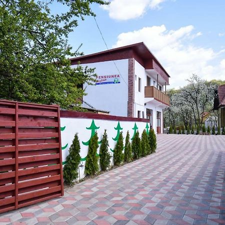 Pensiunea Cristina Вишеу-де-Сус Экстерьер фото