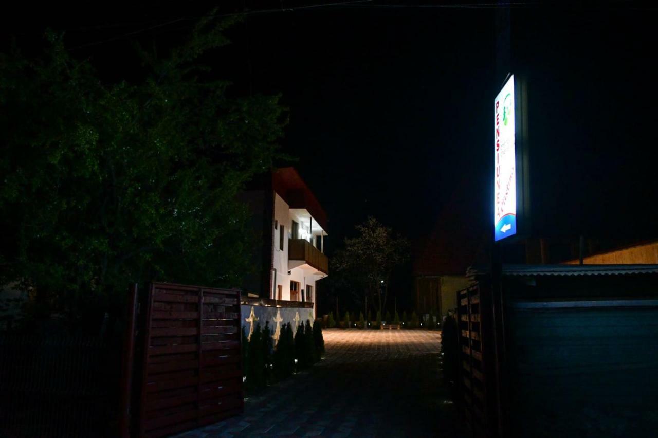 Pensiunea Cristina Вишеу-де-Сус Экстерьер фото